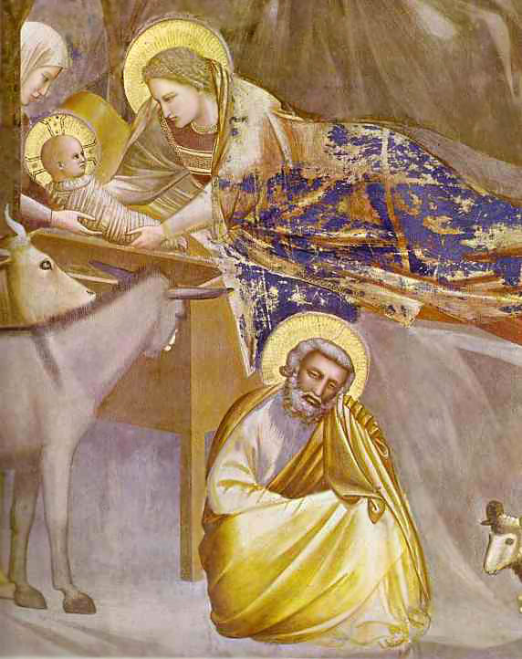 The Immaculate Heart Servants of Mary: The Nativity: Giotto di Bondone